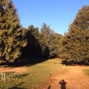 Chimney Park photo 1